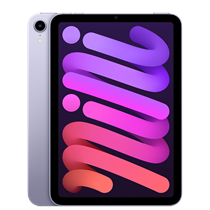iPad mini 64GB Purple
