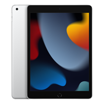 iPad 9th gen 256GB Silver