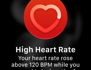 Vitals Heart App Eh8skry8f682 Large 2X