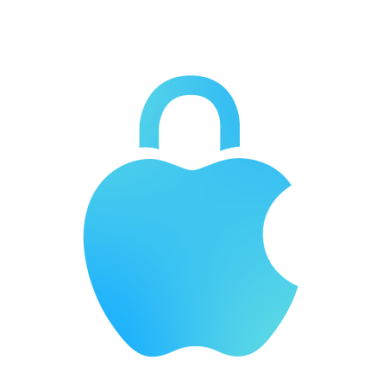 Privacy icon